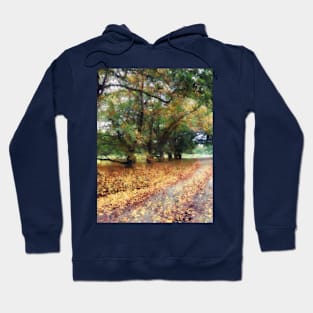 Along the Path Under the Trees Hoodie